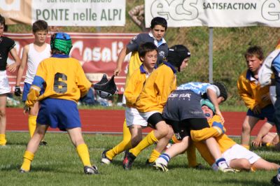 Premi per vedere l'immagine alla massima grandezza