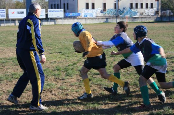 Premi per vedere l'immagine alla massima grandezza