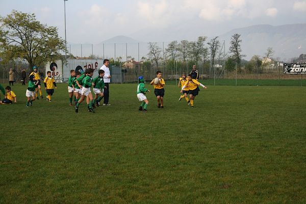 Premi per vedere l'immagine alla massima grandezza