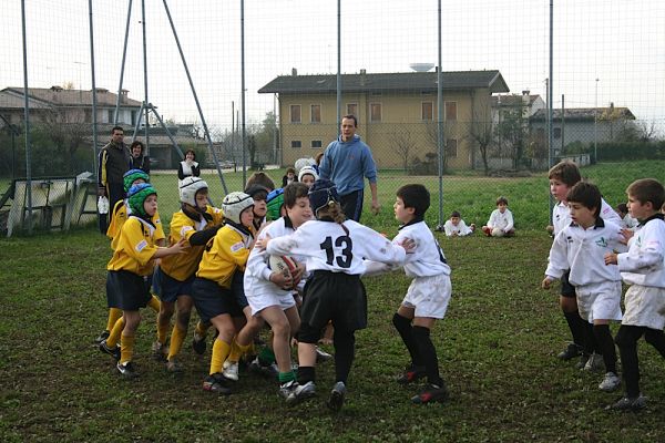 Premi per vedere l'immagine alla massima grandezza