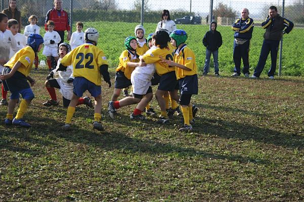 Premi per vedere l'immagine alla massima grandezza