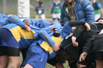 Premi per vedere l'immagine alla massima grandezza