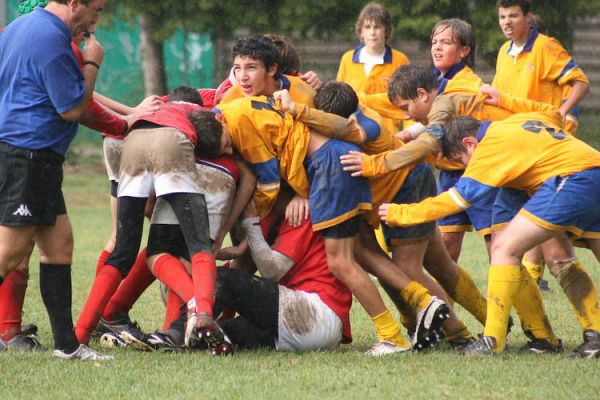 Premi per vedere l'immagine alla massima grandezza