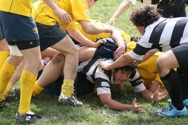 Premi per vedere l'immagine alla massima grandezza