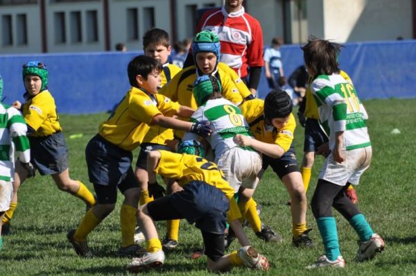 Premi per vedere l'immagine alla massima grandezza