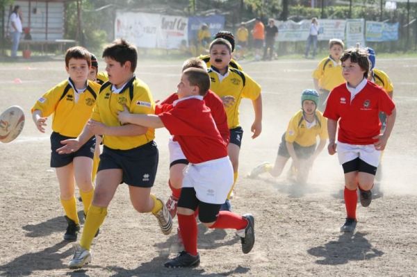 Premi per vedere l'immagine alla massima grandezza