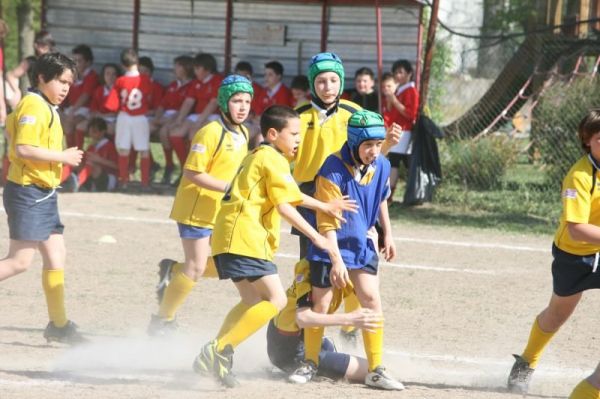 Premi per vedere l'immagine alla massima grandezza