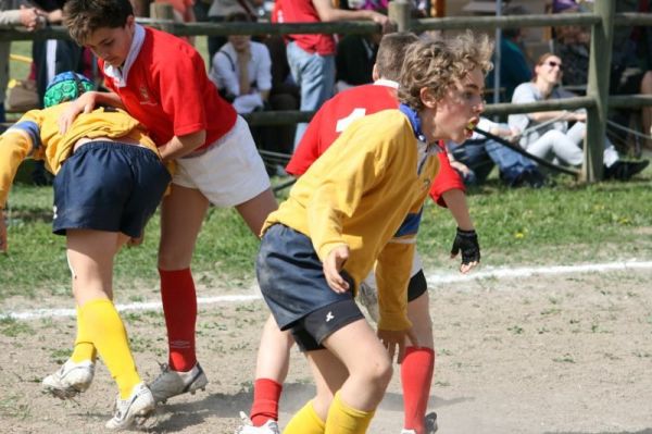 Premi per vedere l'immagine alla massima grandezza