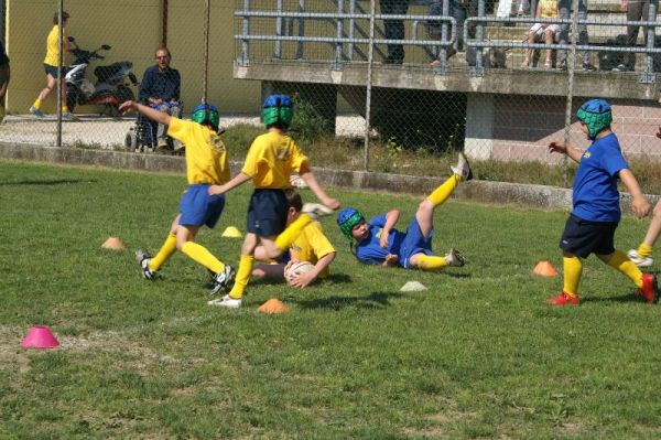 Premi per vedere l'immagine alla massima grandezza