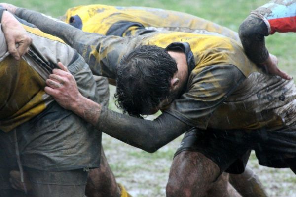 Premi per vedere l'immagine alla massima grandezza