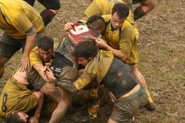 Premi per vedere l'immagine alla massima grandezza