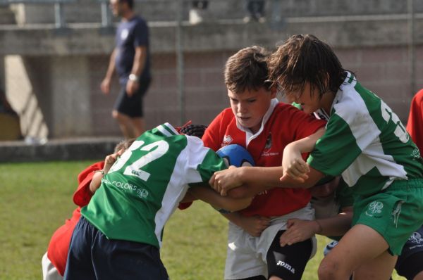 Premi per vedere l'immagine alla massima grandezza