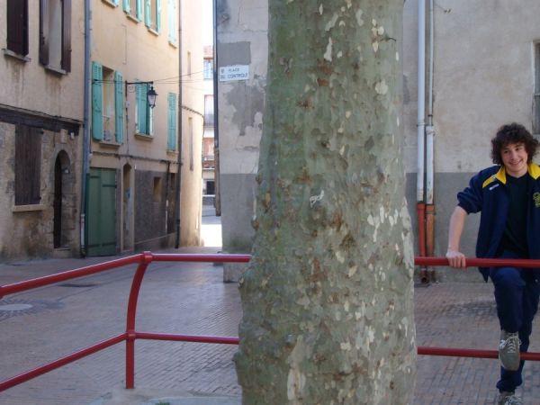 Premi per vedere l'immagine alla massima grandezza