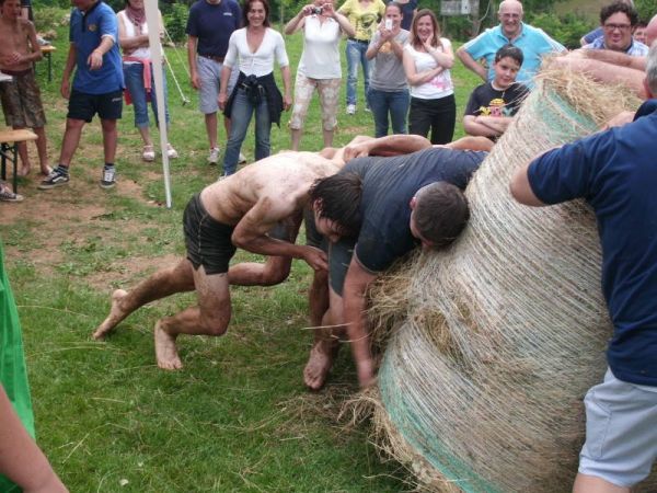 Premi per vedere l'immagine alla massima grandezza