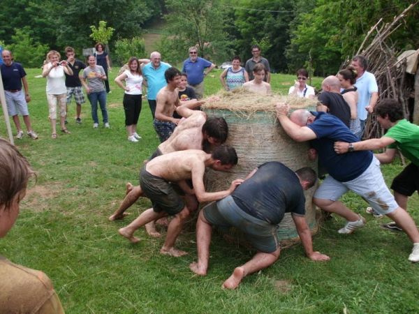 Premi per vedere l'immagine alla massima grandezza