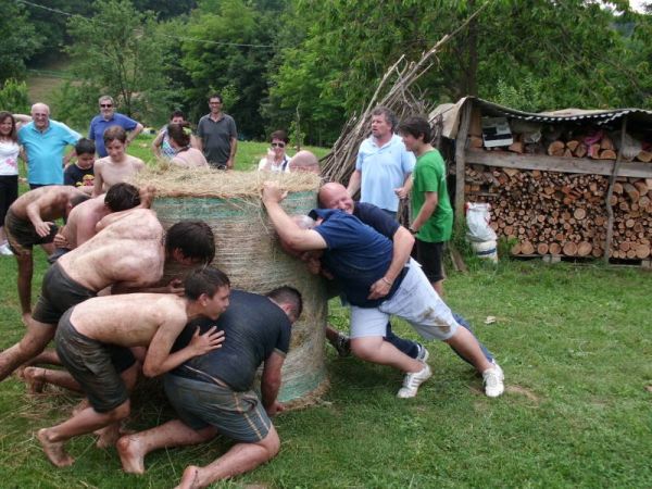 Premi per vedere l'immagine alla massima grandezza