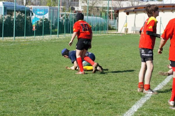 Premi per vedere l'immagine alla massima grandezza