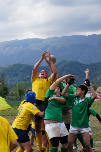 Premi per vedere l'immagine alla massima grandezza