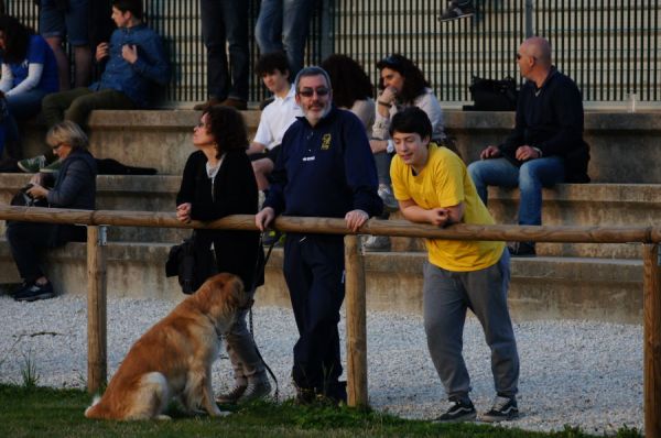 Premi per vedere l'immagine alla massima grandezza