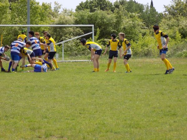 Premi per vedere l'immagine alla massima grandezza