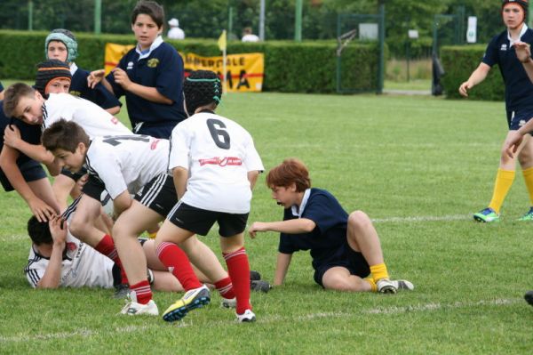 Premi per vedere l'immagine alla massima grandezza