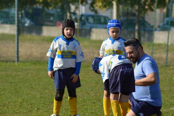 Premi per vedere l'immagine alla massima grandezza