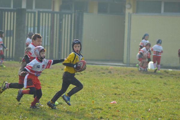 Premi per vedere l'immagine alla massima grandezza