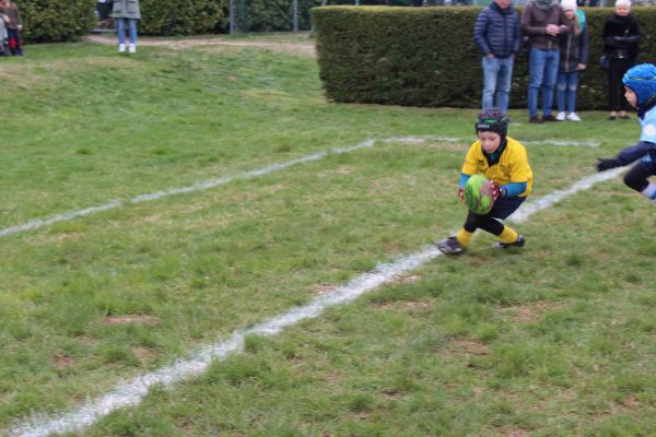 Premi per vedere l'immagine alla massima grandezza