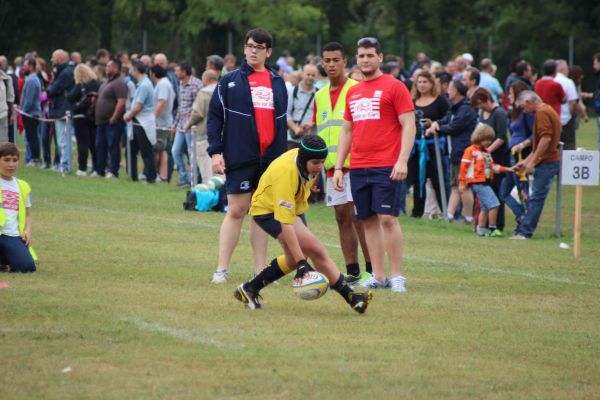 Premi per vedere l'immagine alla massima grandezza