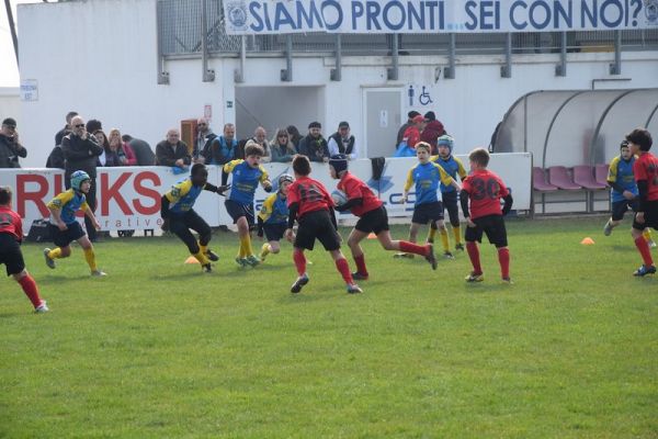 Premi per vedere l'immagine alla massima grandezza