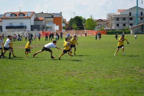 Premi per vedere l'immagine alla massima grandezza