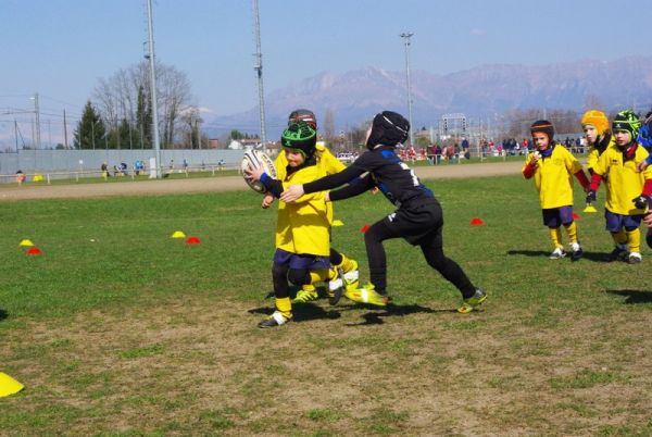 Premi per vedere l'immagine alla massima grandezza