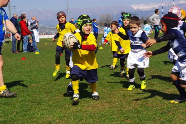 Premi per vedere l'immagine alla massima grandezza