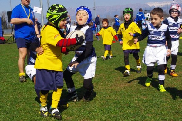 Premi per vedere l'immagine alla massima grandezza