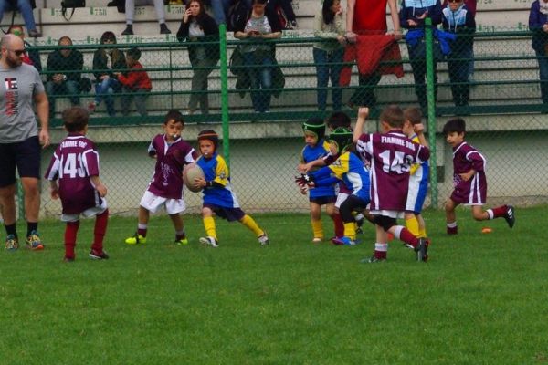 Premi per vedere l'immagine alla massima grandezza