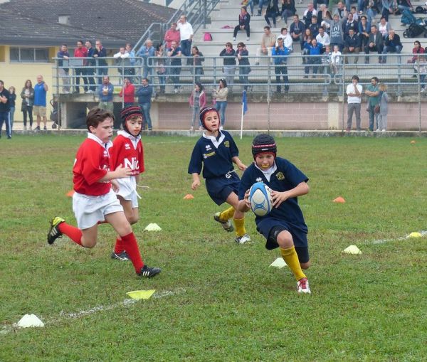 Premi per vedere l'immagine alla massima grandezza