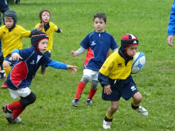 Premi per vedere l'immagine alla massima grandezza